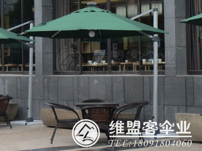 十二生肖买马图