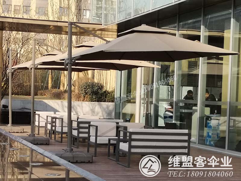 十二生肖买马图