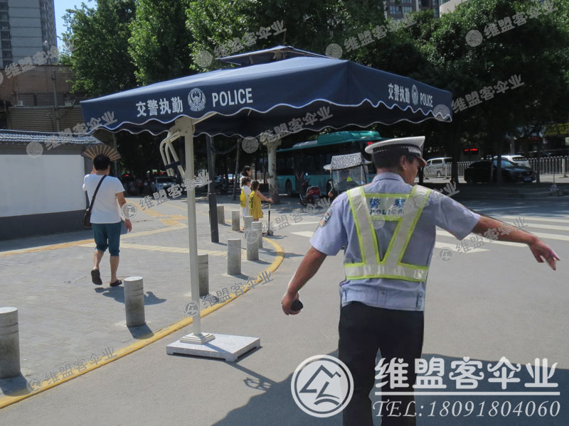 十二生肖买马图